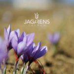 crocusjagarenslogo_s